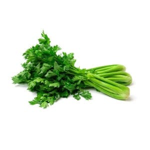 Apio manojo / Bunch of Celery (250 gr)