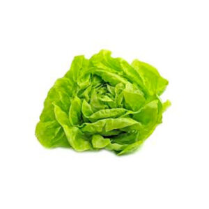 Lechuga / Lettuce (unidad / unit)